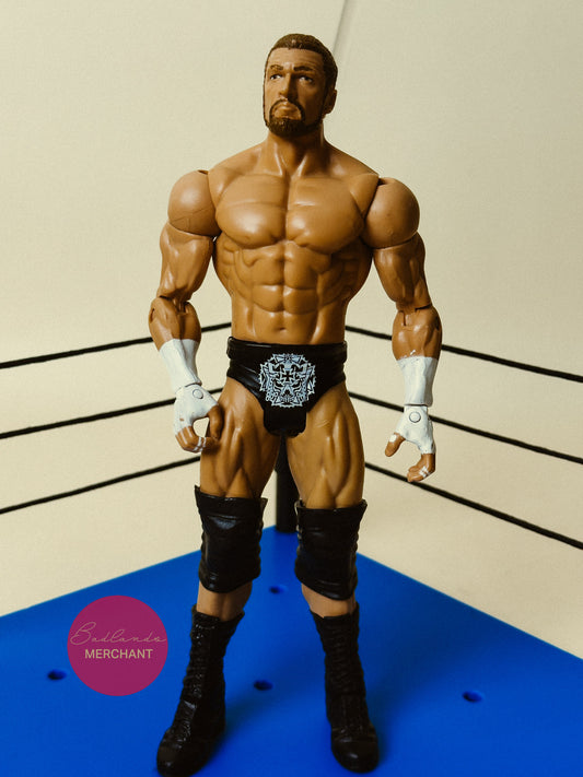 Mattel WWE Triple H Basic Series 45 Wrestling Action Figure