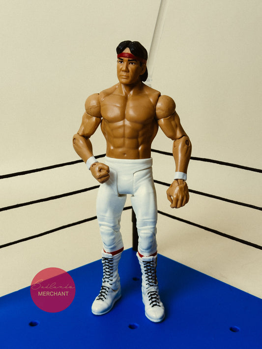 WWE Ricky The Dragon Steamboat Mattel Basic Figure Series 45