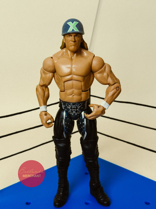 WWE Triple H Mattel Elite Figure DX Series 23