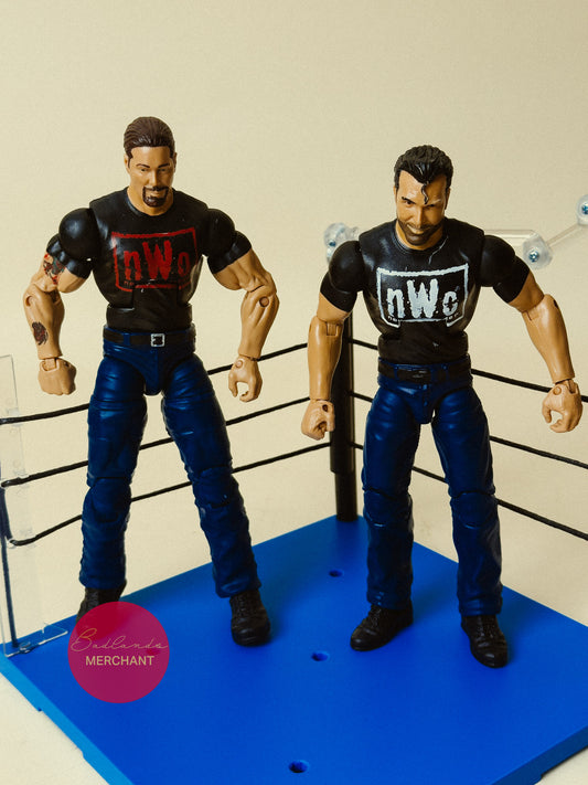 Scott Hall Kevin Nash Outsiders WWE WCW Elite Nitro Notables Hall of Fame