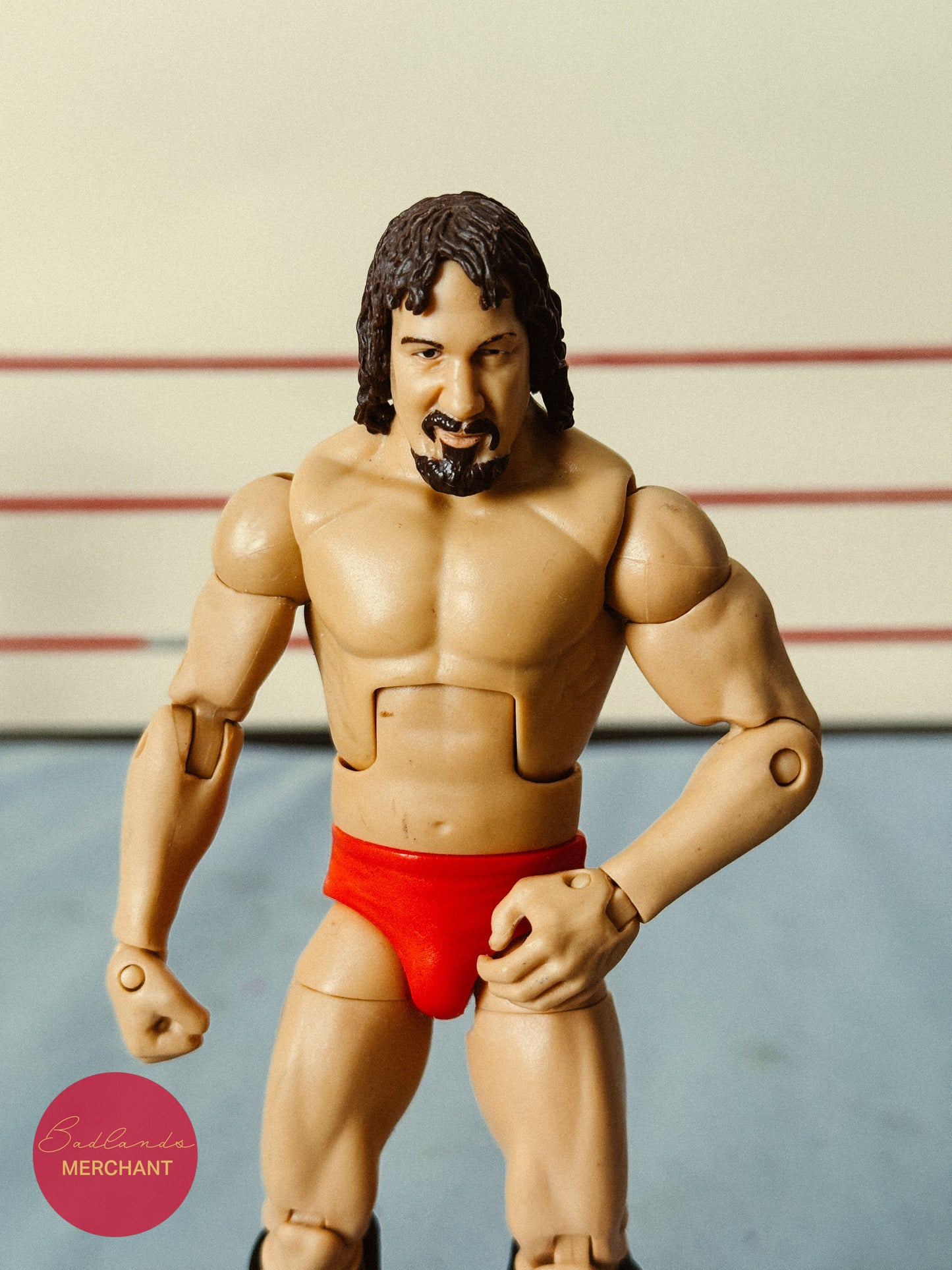 WWE Elite Legends 2 Terry Funk Figure