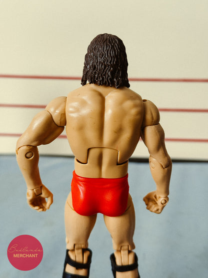 WWE Elite Legends 2 Terry Funk Figure
