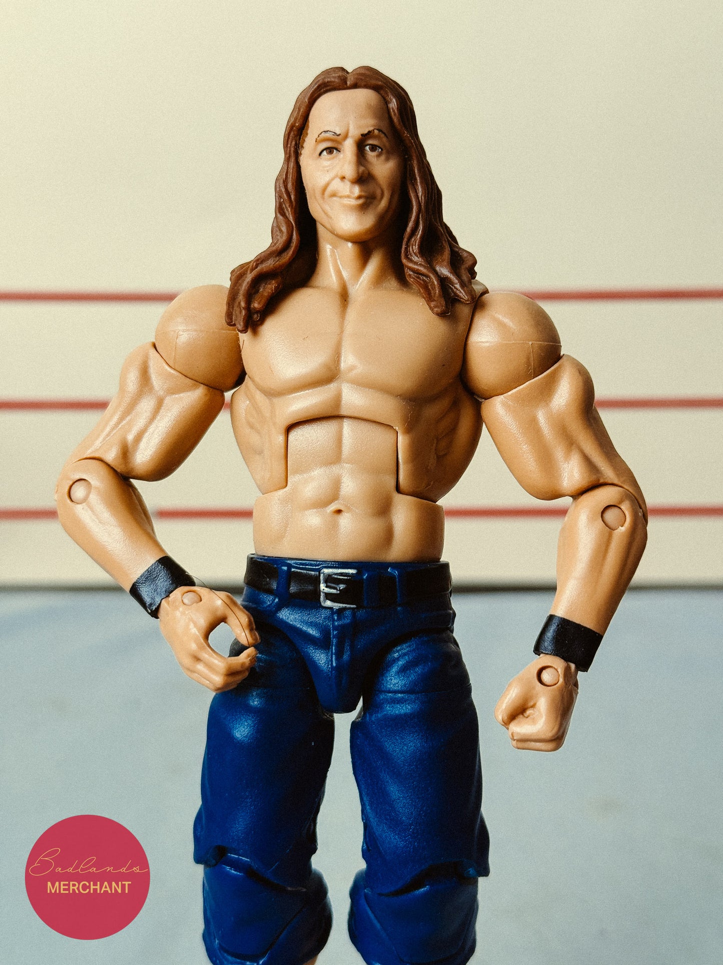 Bret Hart WWE Elite SummerSlam Best of PPV Toys R Us