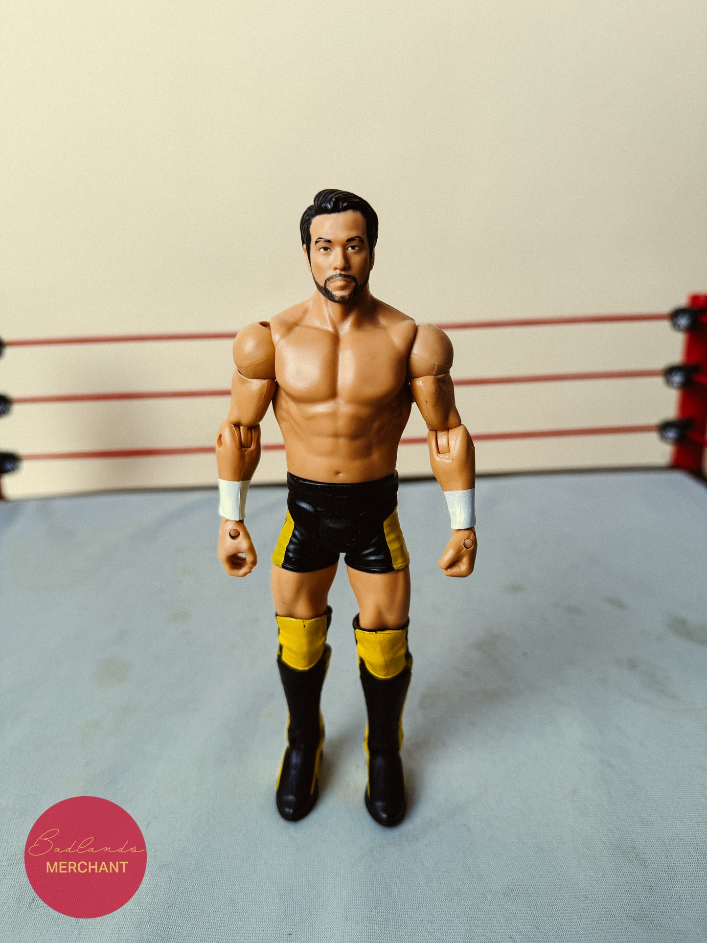 WWE 56 NXT Takeover Hideo Itami Figure