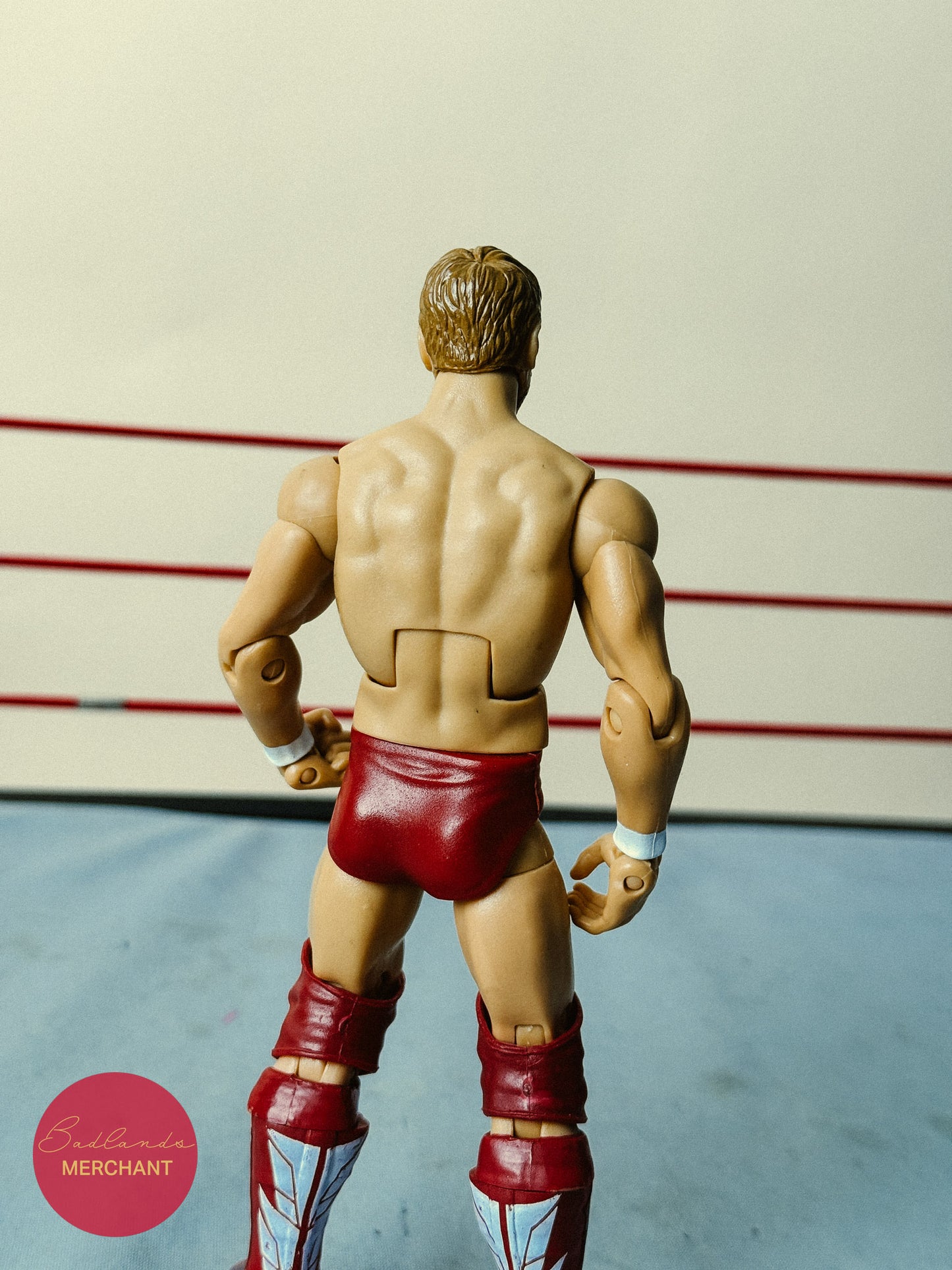 WWE Daniel Bryan Elite Figure