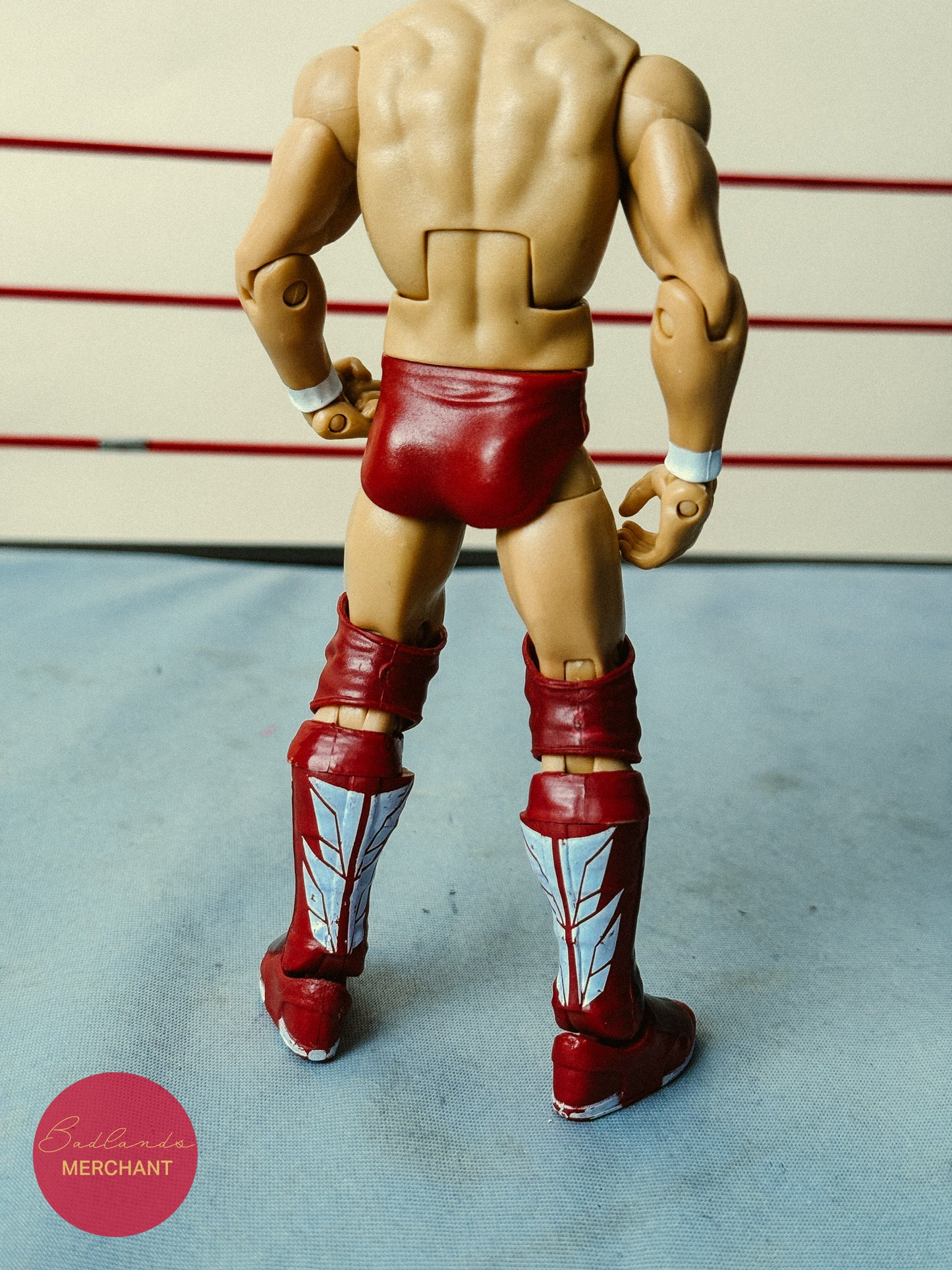 WWE Daniel Bryan Elite Figure