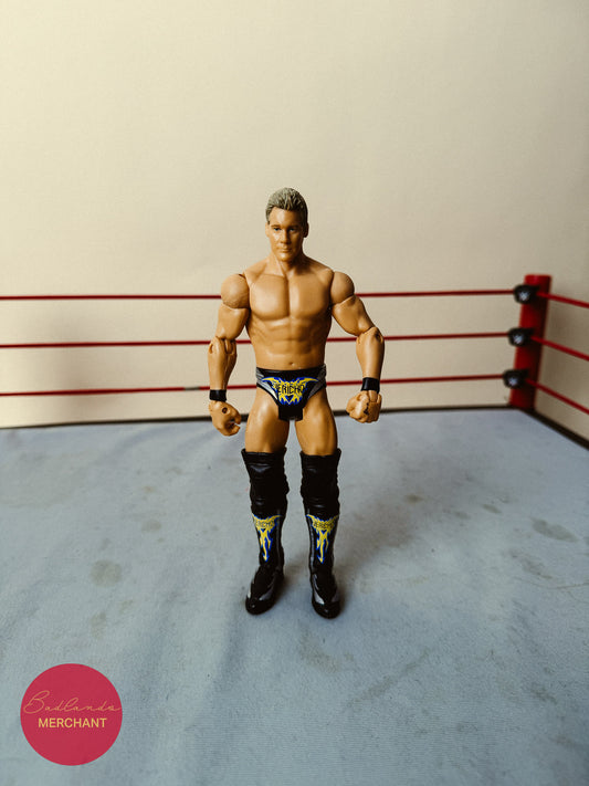 Chris Jericho Basic 22 Figure WWE