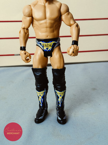Chris Jericho Basic 22 Figure WWE